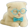 Gatito con lentes 😺👓 10