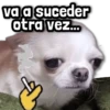 🐾 Perritos y Reacciones! 🔝 8