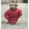 Memes para el frio 🥶❄️☃️ 8