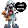 Buenas noches 2 cachorros🇲🇽 11