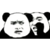 Chinese Panda V2 6