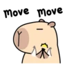 Pipi Capybara 4 6