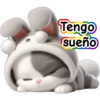 Gatito disfrazado de conejo💞1🇵🇪Clásica 8