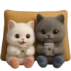 Piko y Paya💞1🇵🇪Clásica 10