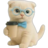 Gatito con lentes 😺👓 11