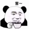 Chinese Panda 11