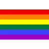 bandeiras lgbtqiapn+ 8