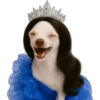 Princesa Chihuahua 👑💙 14