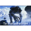 soy admin 14