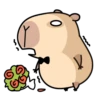Pipi Capybara 4 7