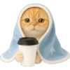 Gatito con mantita 😻🩵 11