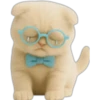Gatito con lentes 😺👓 13