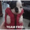 Memes para el frio 🥶❄️☃️ 10