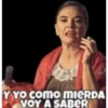 Variados 5