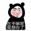 Chinese Panda V2 7