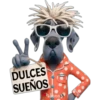 Buenas noches 1 cachorros🇲🇽 12