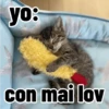 Gatos para contestar 😜 🐱 7