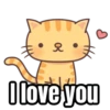 My cat memes 😂🐈 7