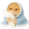 Gatito con mantita 😻🩵 12