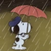 🫐Snoopy Aesthetic🫐 5