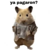 FRASES HAMSTER 🐹🥰 12