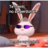 Julio 2025 🌺🦋 13