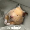 FRASES HAMSTER 🐹🥰 13
