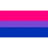 bandeiras lgbtqiapn+ 12