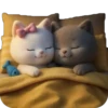 Piko y Paya💞1🇵🇪Clásica 13