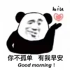 Chinese Panda V2 10