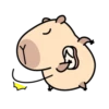 Pipi Capybara 4 10