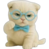 Gatito con lentes 😺👓 16