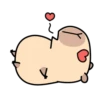 Pipi Capybara 4 12