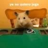 FRASES HAMSTER 🐹🥰 15