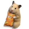 FRASES HAMSTER 🐹🥰 16