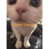 stikers de amor acá bien vrgas 15