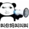 Chinese Panda V2 12
