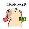 Pipi Capybara 4 13