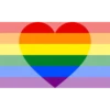 bandeiras lgbtqiapn+ 13