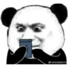 Chinese Panda V2 13