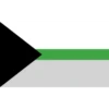 bandeiras lgbtqiapn+ 14
