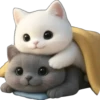 Piko y Paya💞1🇵🇪Clásica 16