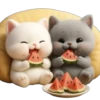 Piko y Paya💞1🇵🇪Clásica 17