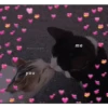 stikers de amor acá bien vrgas 17