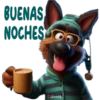 Buenas noches 1 cachorros🇲🇽 15