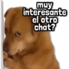 🐾 Perritos y Reacciones! 🔝 13