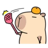 Pipi Capybara 4 14