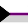 bandeiras lgbtqiapn+ 15