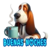 Buenas noches 2 cachorros🇲🇽 13