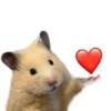 FRASES HAMSTER 🐹🥰 18